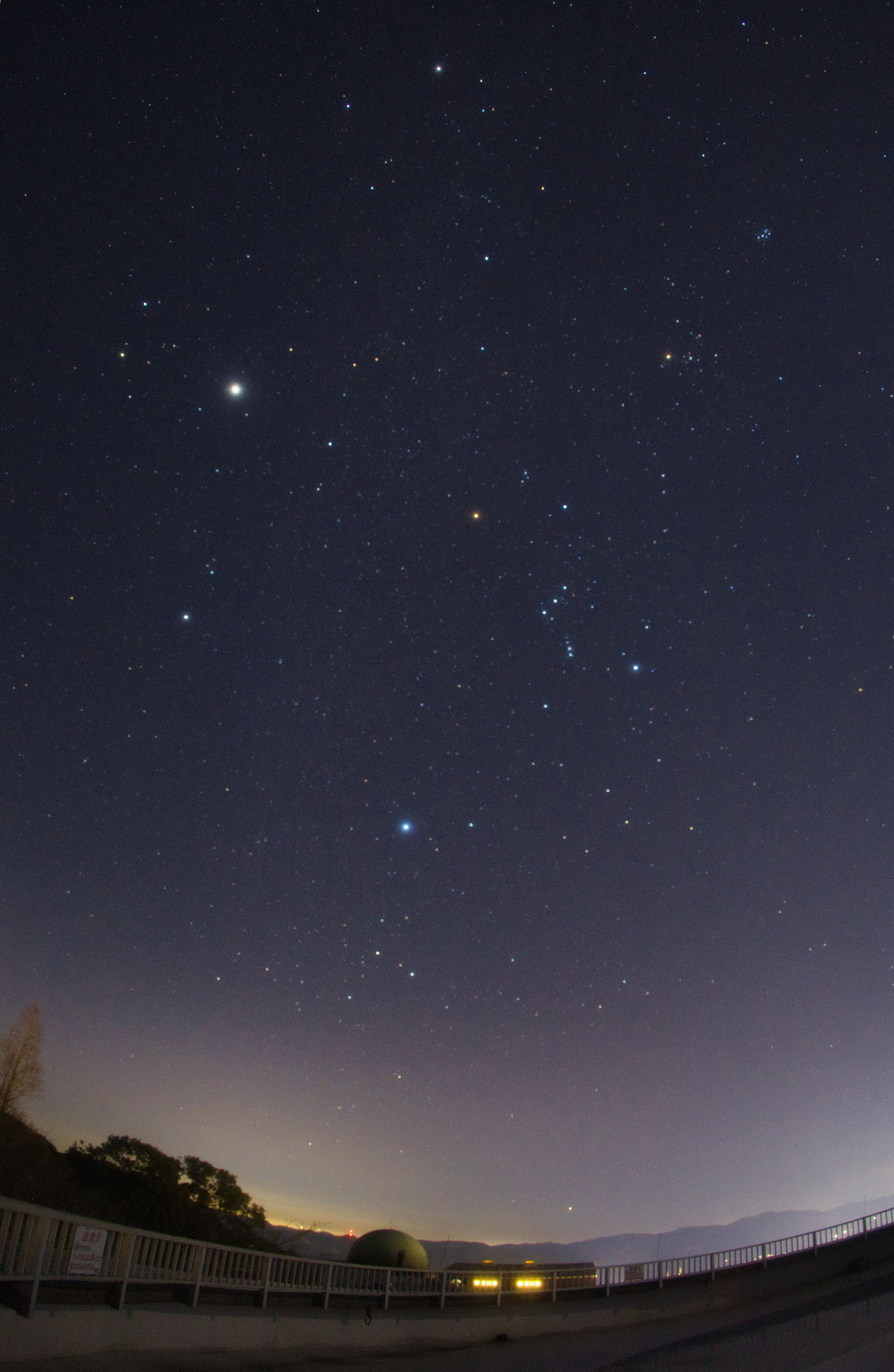 �w�ؐ��Ɠ~�̃_�C�������h�ƃJ�m�[�v�X�x(2026�N2��21��)