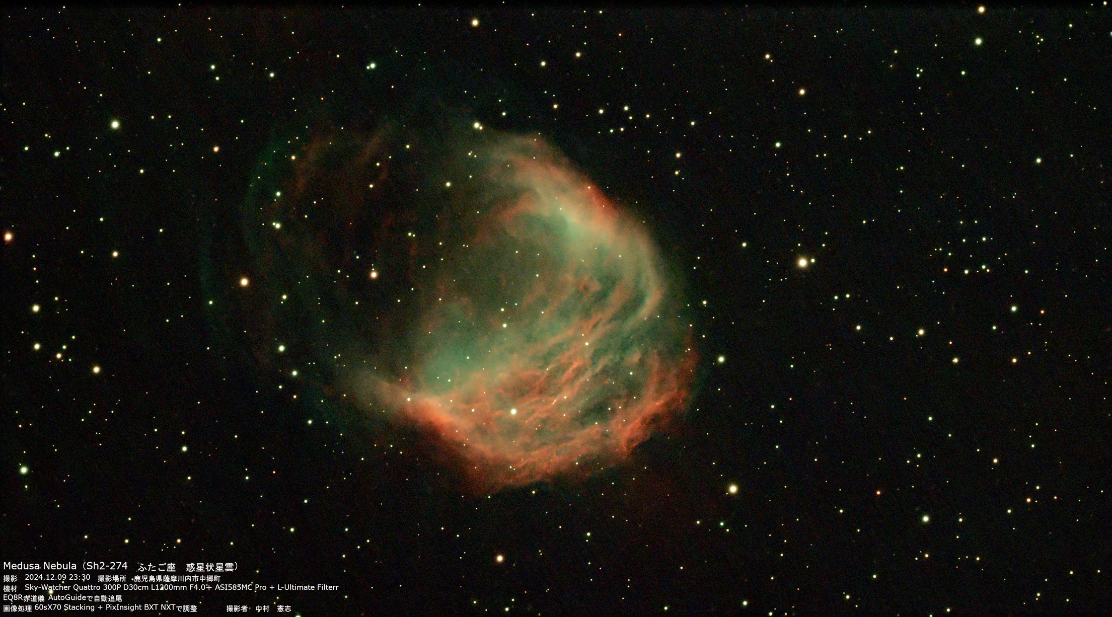 wMedusa NebulaiSh2-274 ӂ f󐯉_jx(2024N129)