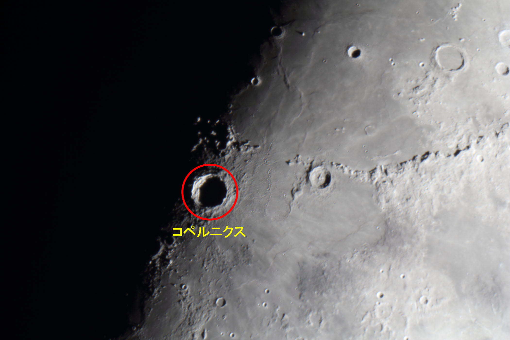 wi9.2jRyjNX̊Ct߁x(2025N1129)