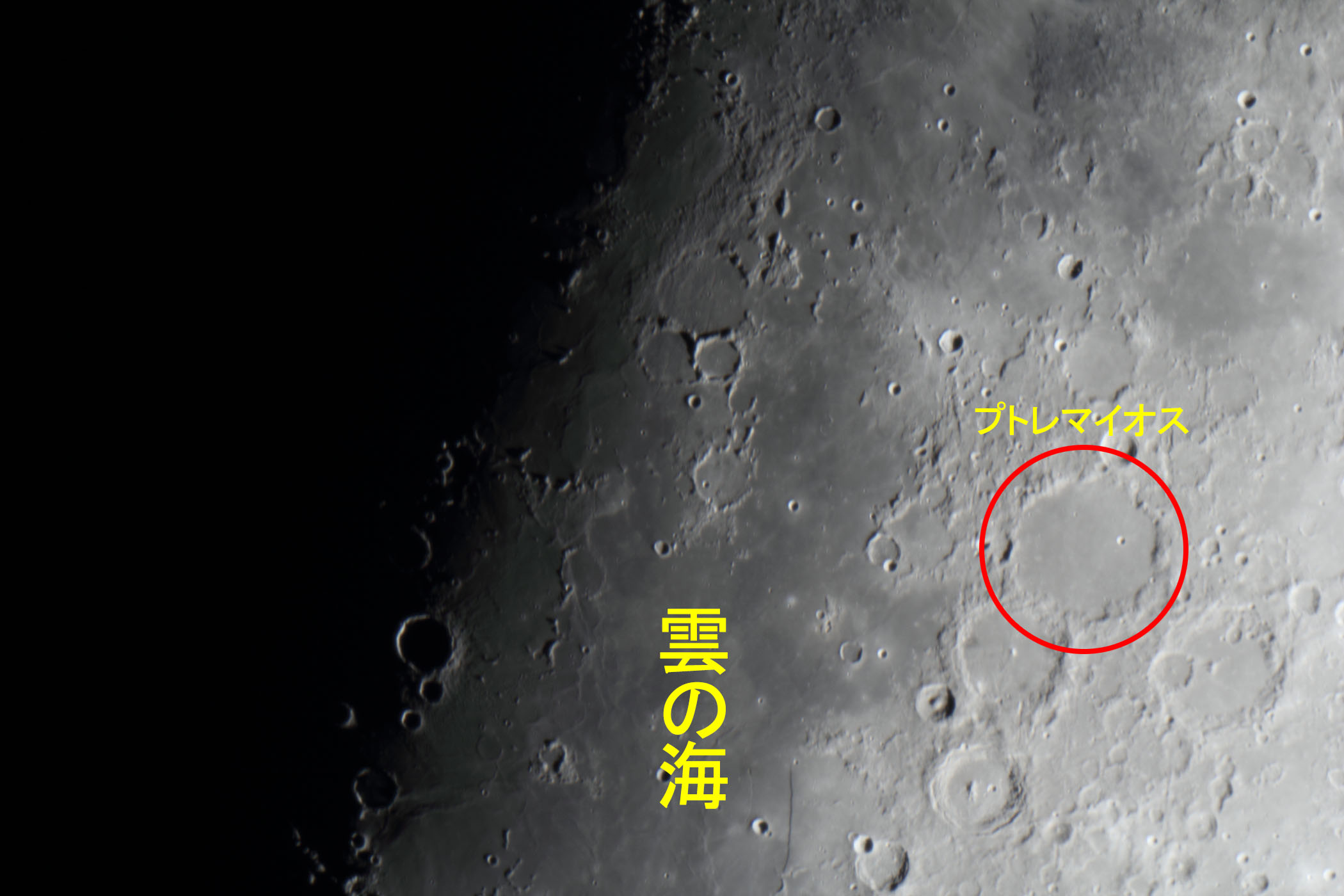 wi9.2j_̊CEvg}CIXt߁x(2025N1129)