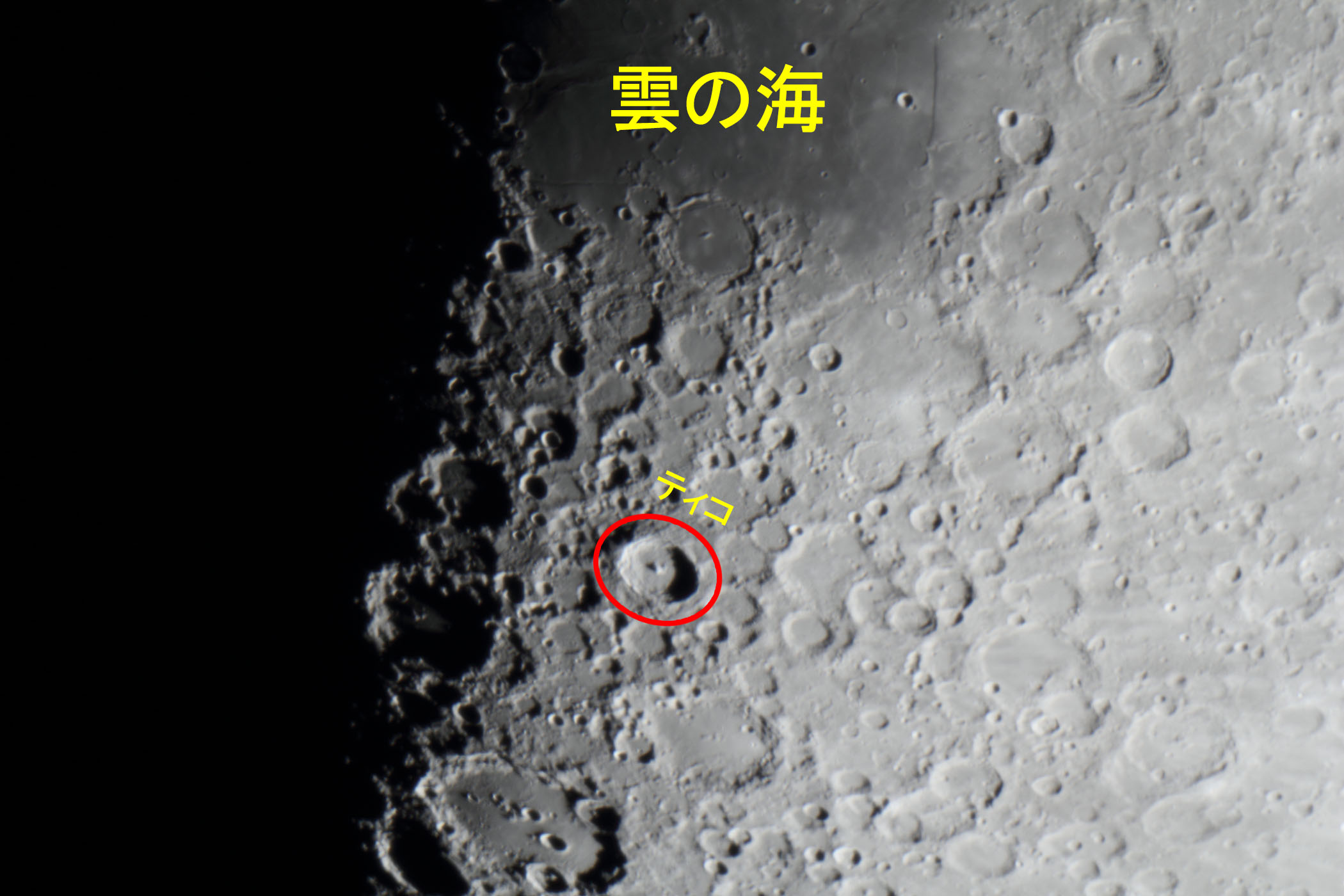 wi9.2j_̊CEeBRt߁x(2025N1129)