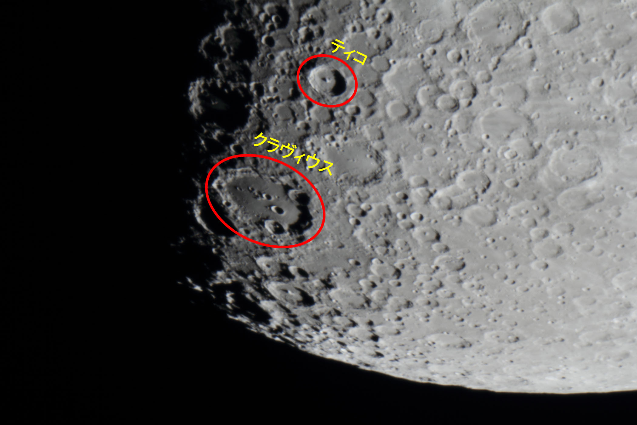 wi9.2jeBRENBEXt߁x(2025N1129)