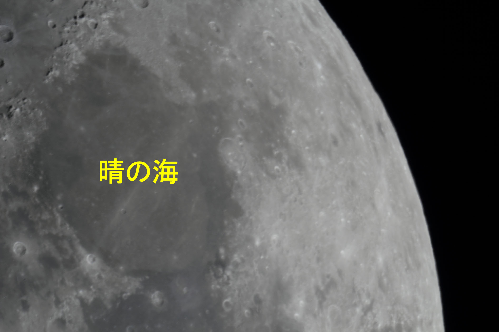 �w���i����9.4�j���̊C�t�߁x(2025�N12��29��)