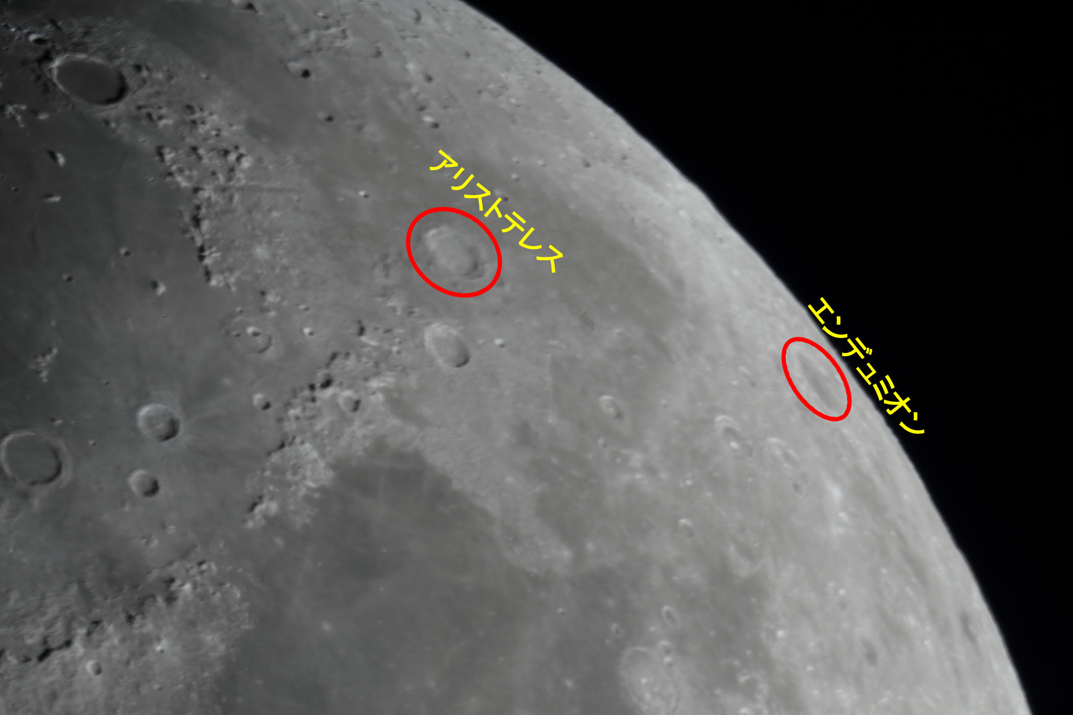 �w���i����9.4�j�A���X�g�e���X�E�G���f���~�I���t�߁x(2025�N12��29��)