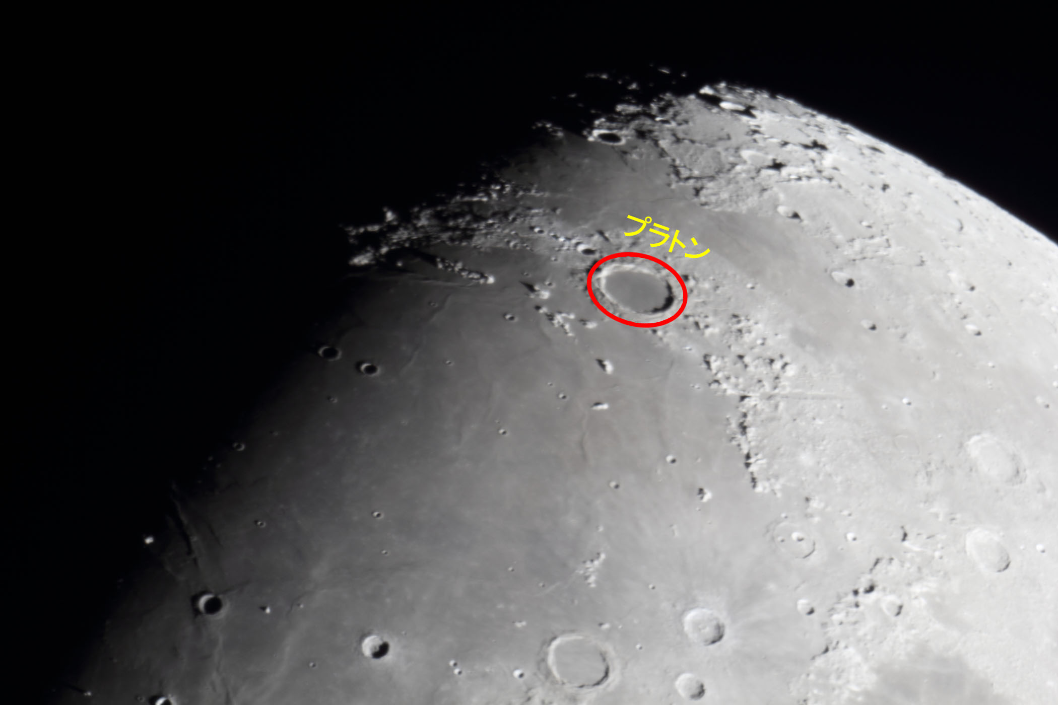 �w���i����9.4�j�v���g���t�߁x(2025�N12��29��)