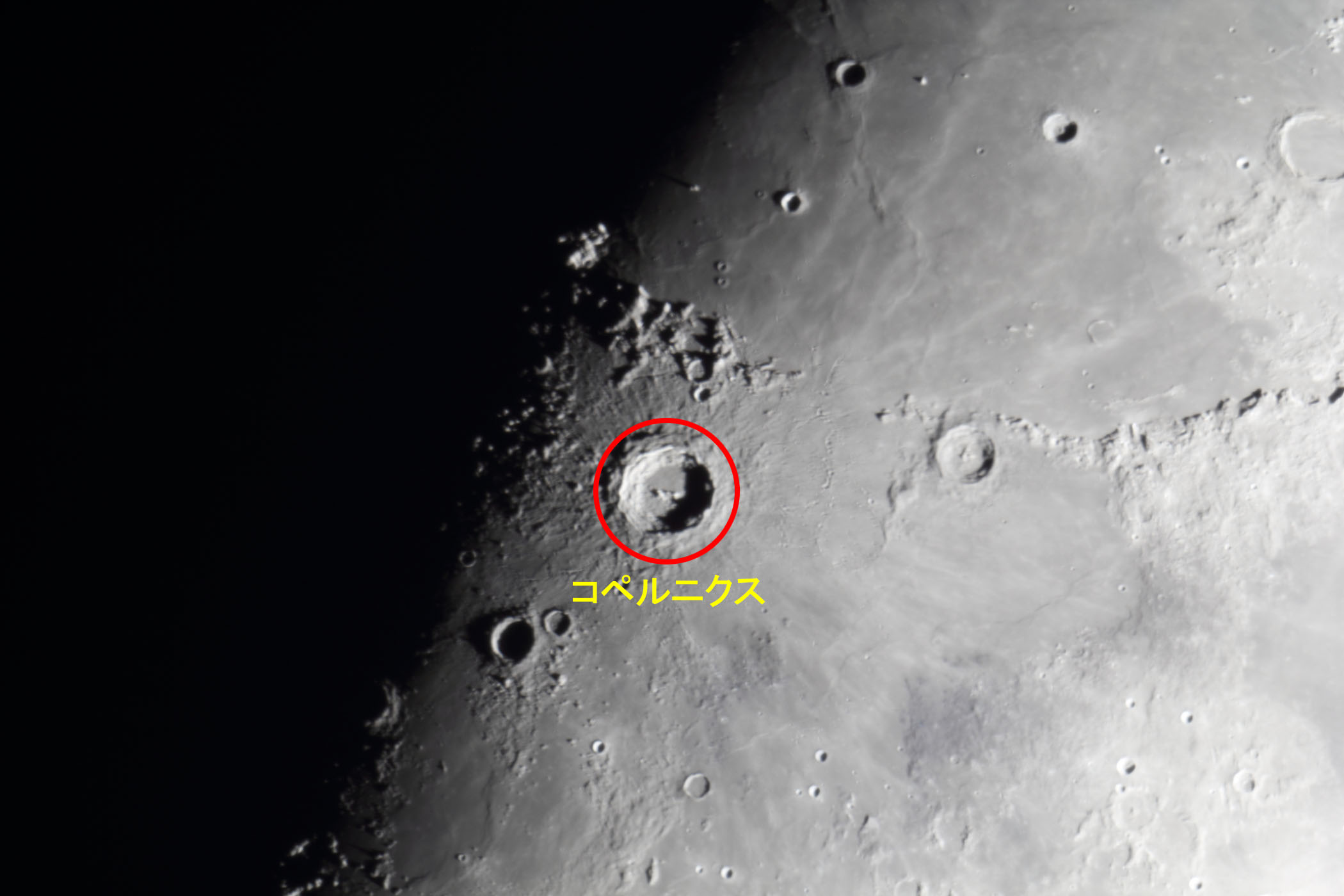 �w���i����9.4�j�R�y���j�N�X�̊C�t�߁x(2025�N12��29��)