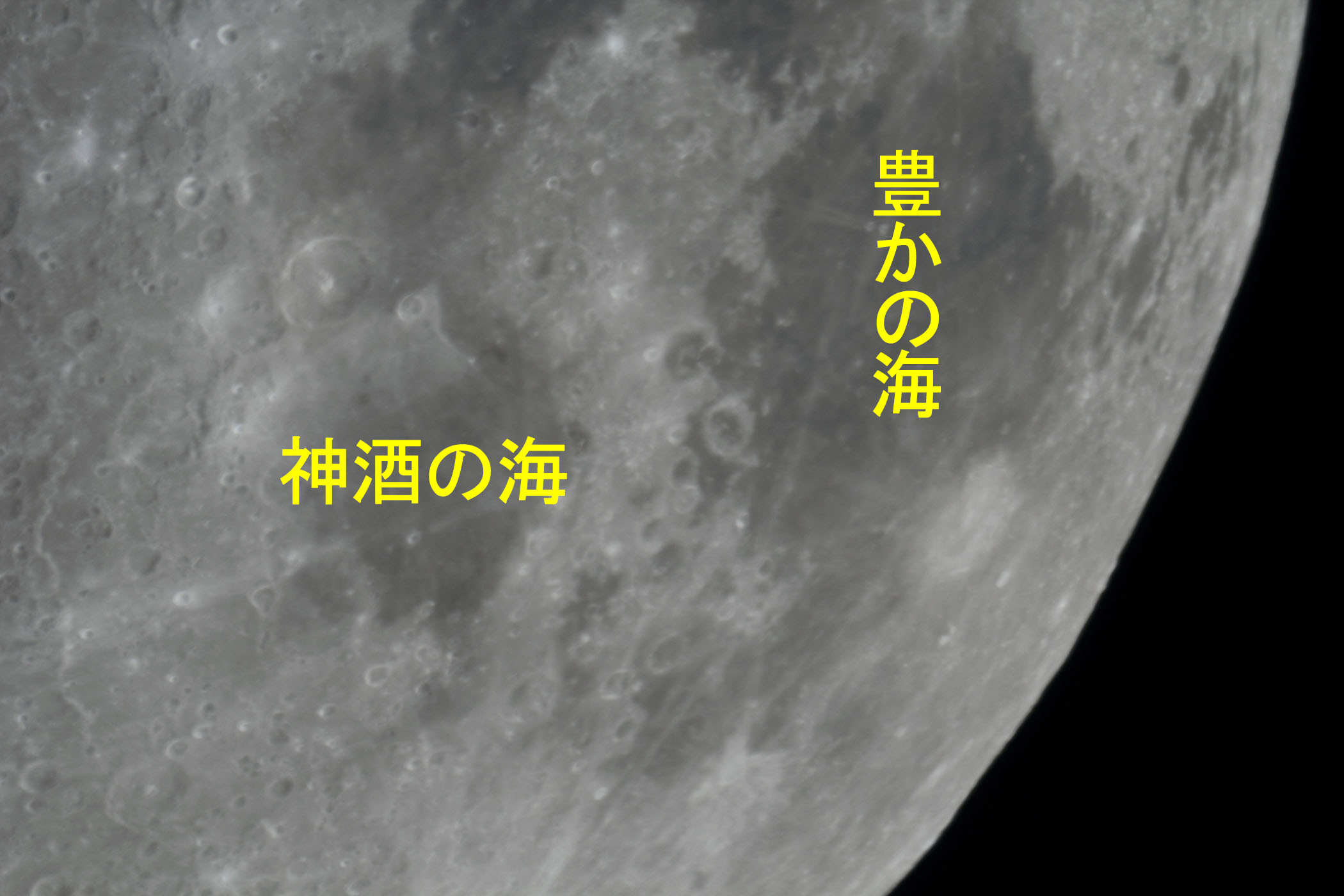 �w���i����9.4�j�_���̊C�E�L���̊C�t�߁x(2025�N12��29��)