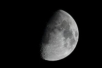 �w���i����9.4�j�x(2025�N12��29)