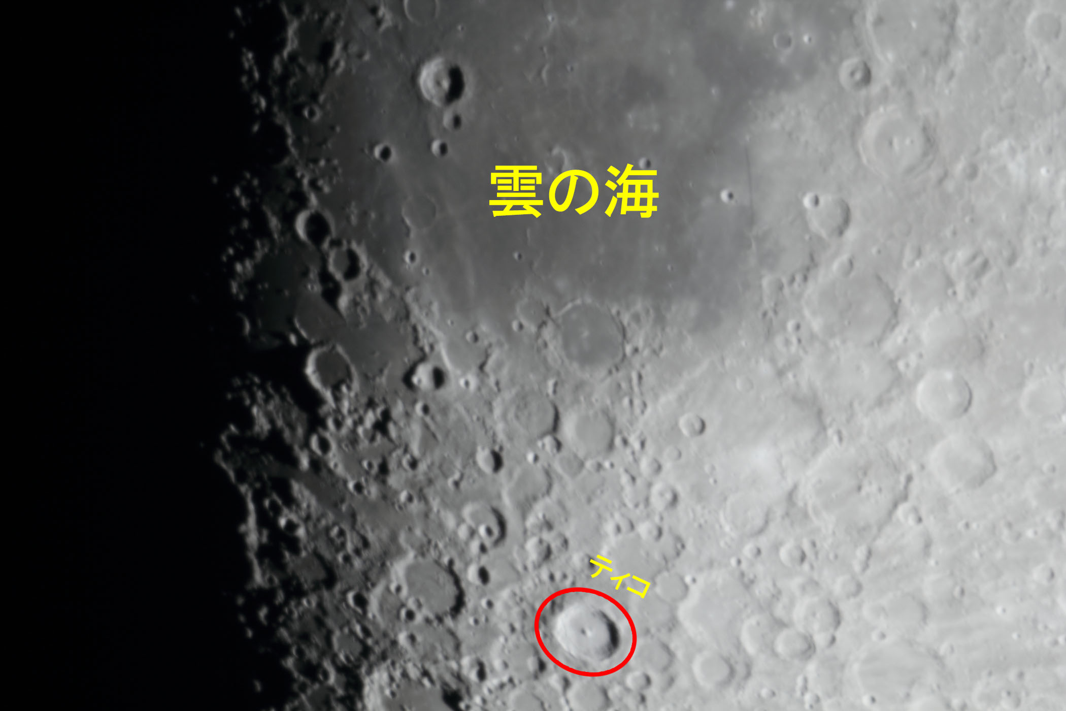 �w���i����9.7�j�_�̊C�E�e�B�R�t�߁x(2026�N1��28��)