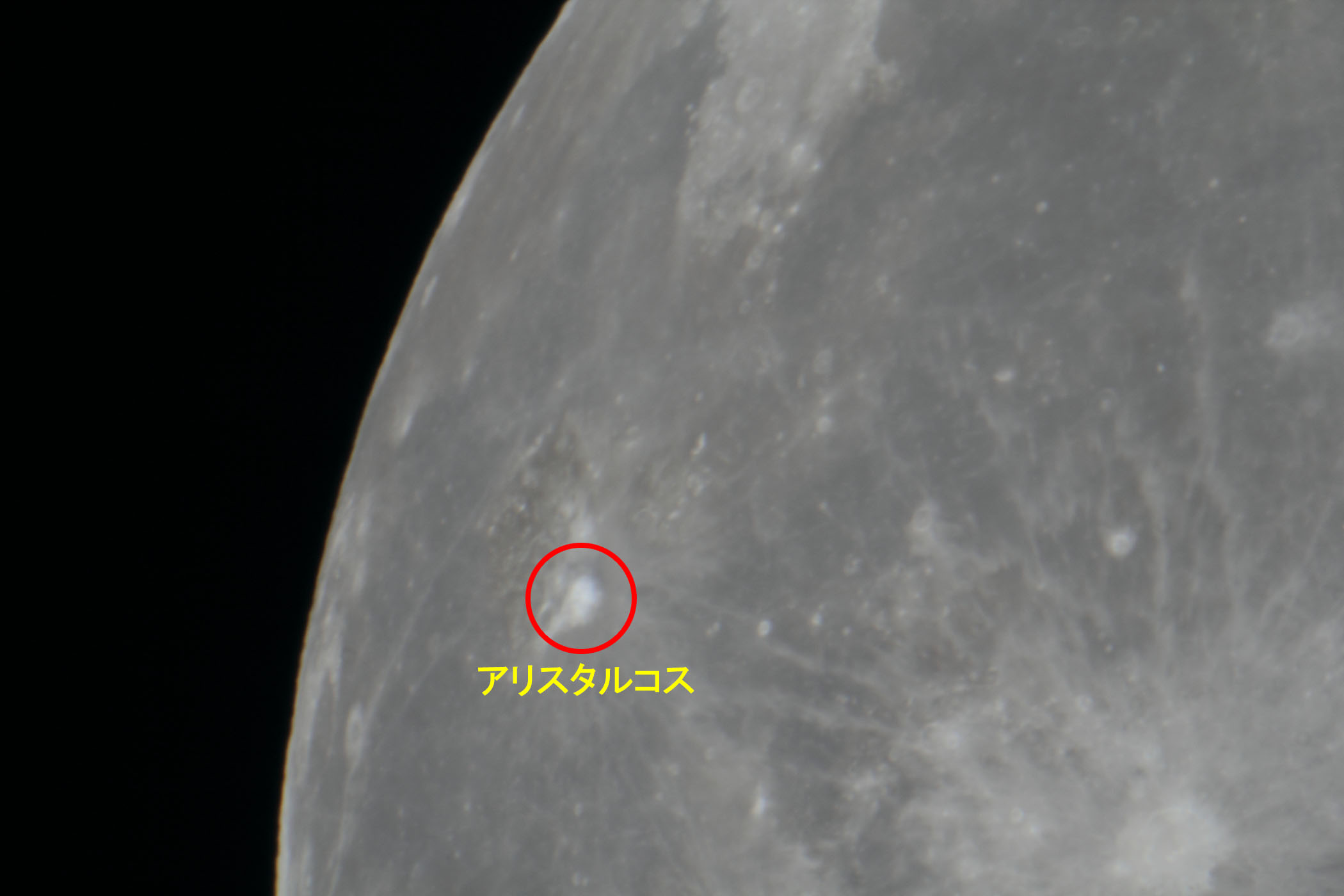 �w���i����15.7�j�A���X�^���R�X�t�߁x(2026�N2��3��)