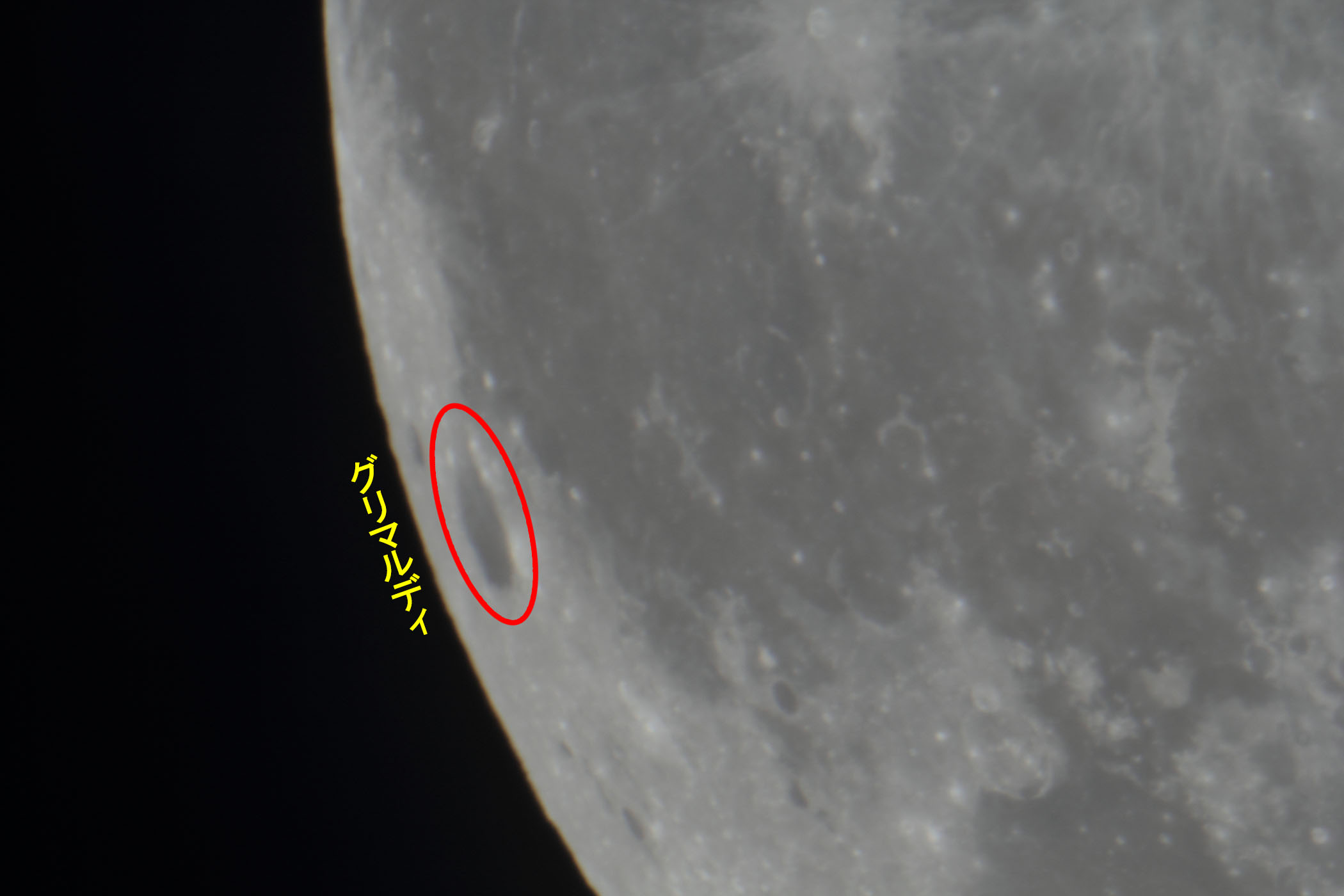 �w���i����15.7�j�O���}���f�B�t�߁x(2026�N2��3��)