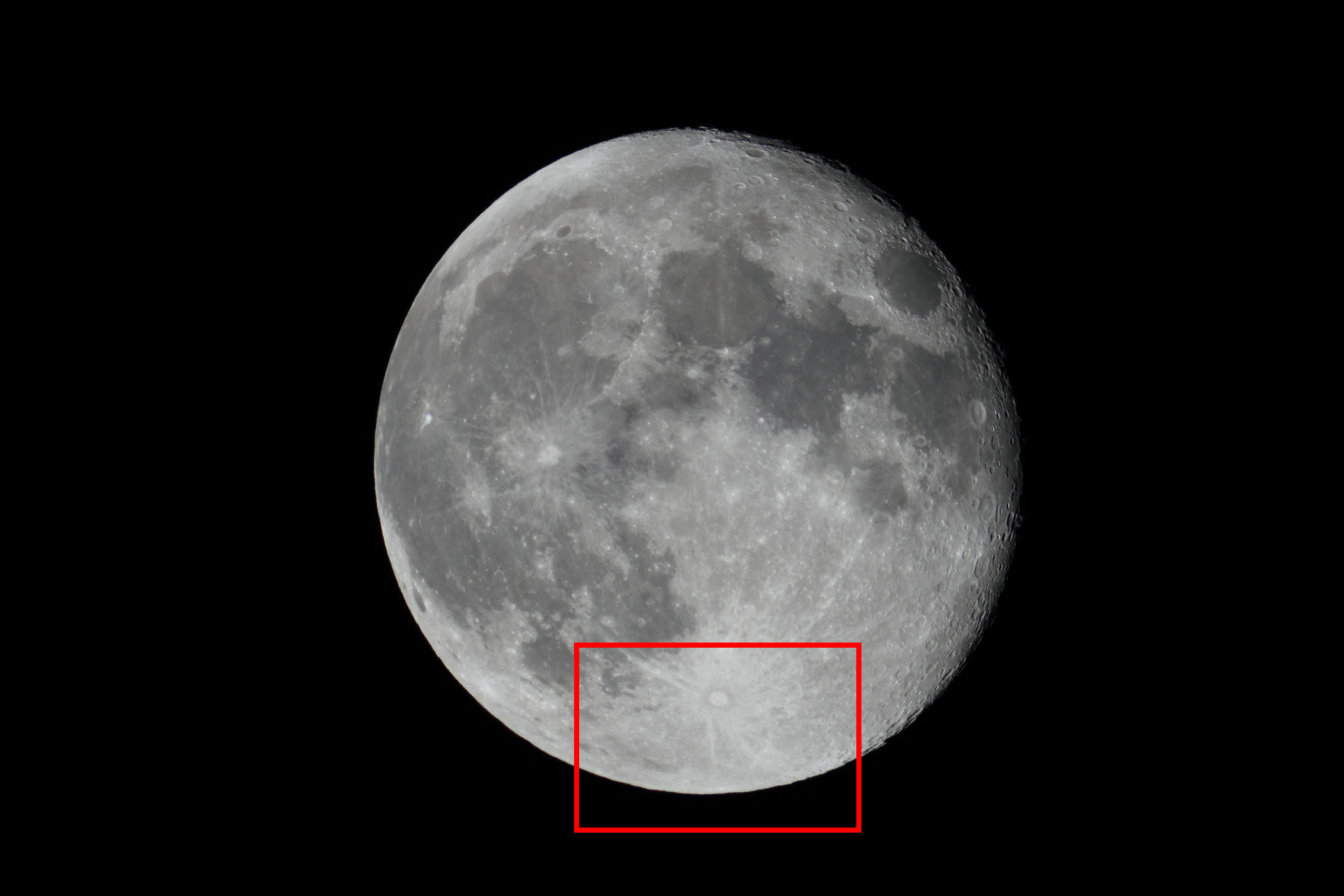 �w���i����15.7�j�e�B�R�t�߁x(2026�N2��3��)