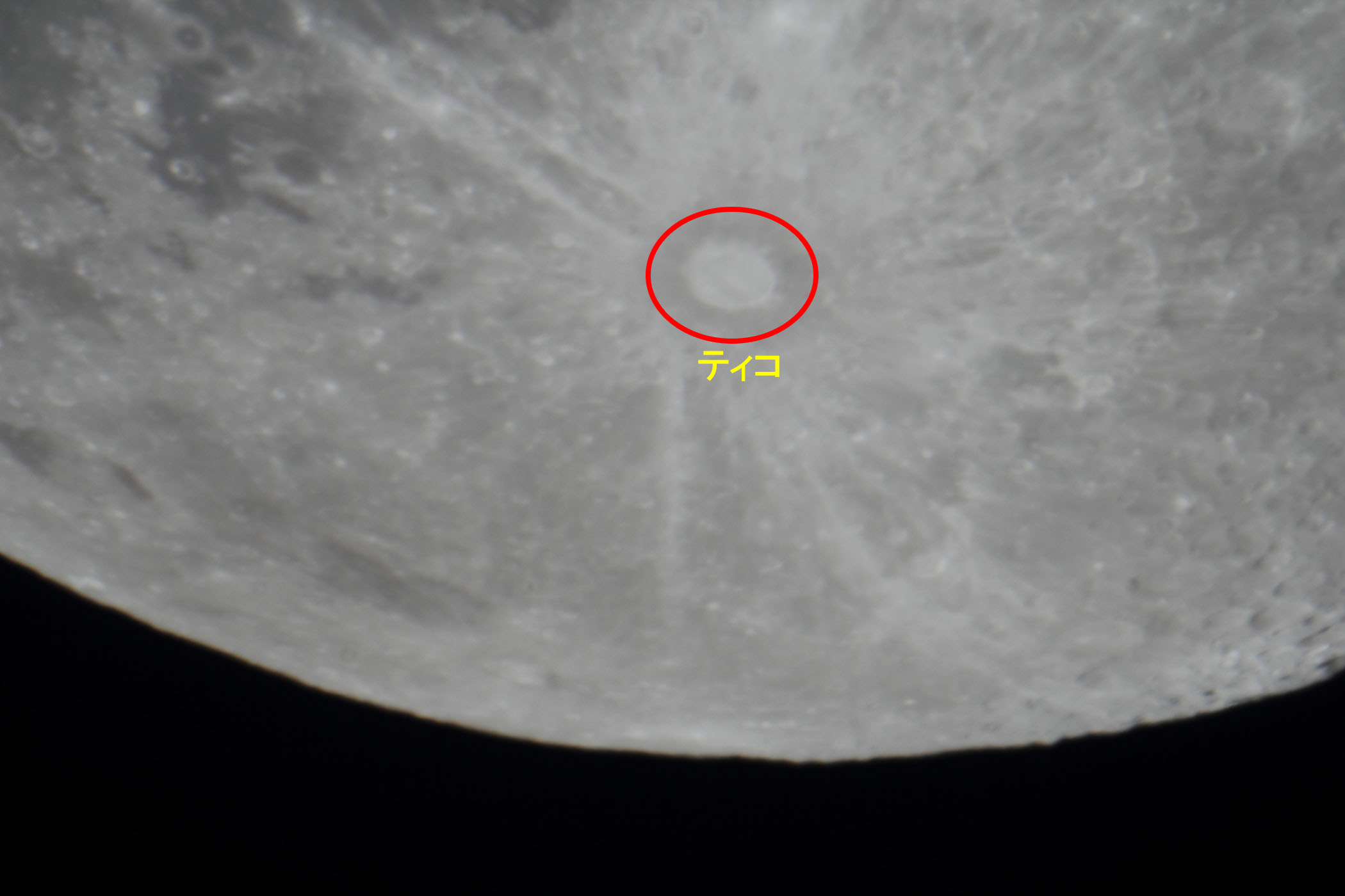 �w���i����15.7�j�e�B�R�t�߁x(2026�N2��3��)