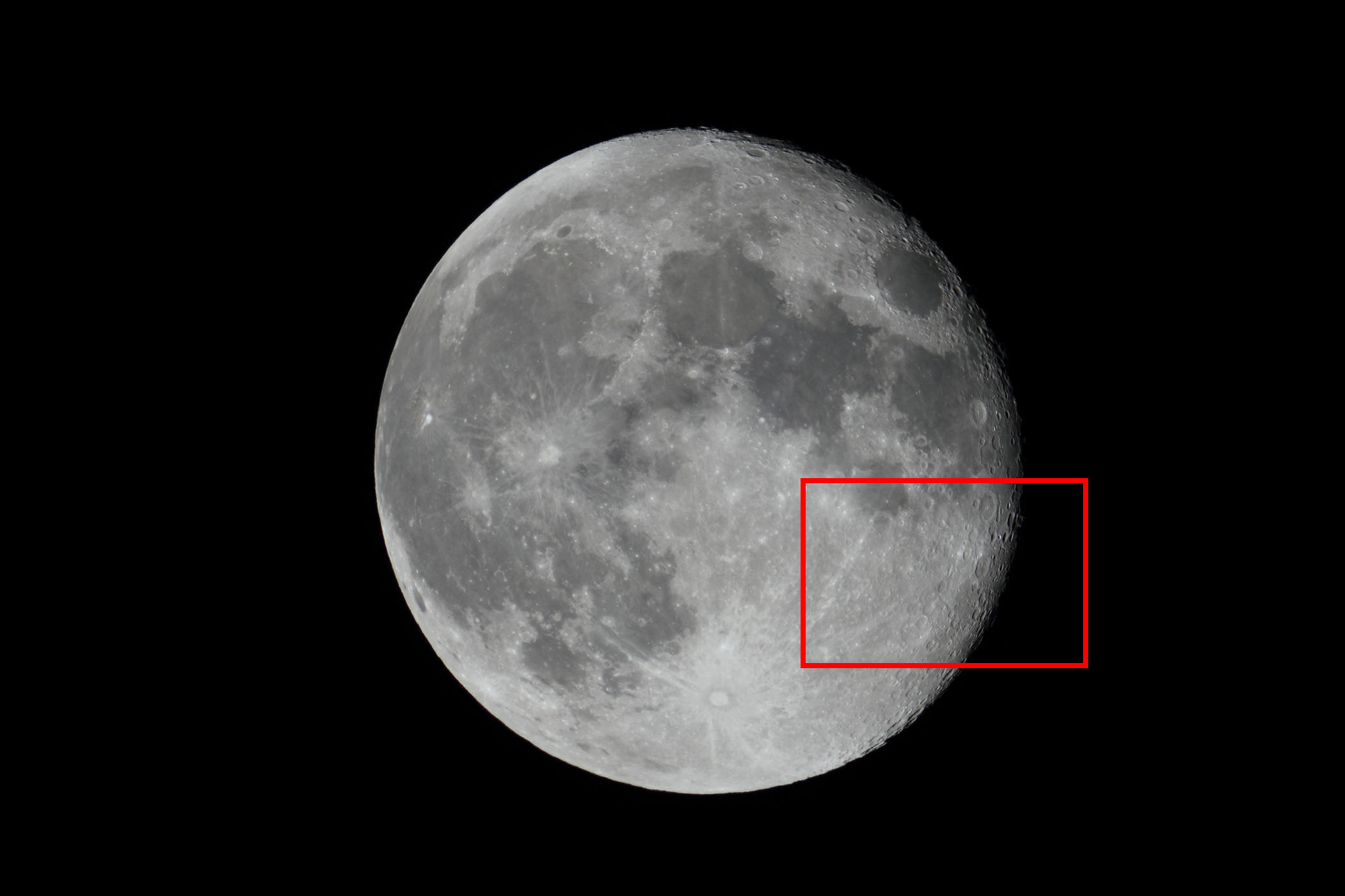 �w���i����15.7�j�W�����Z���E�y�^���B�E�X�t�߁x(2026�N2��3��)