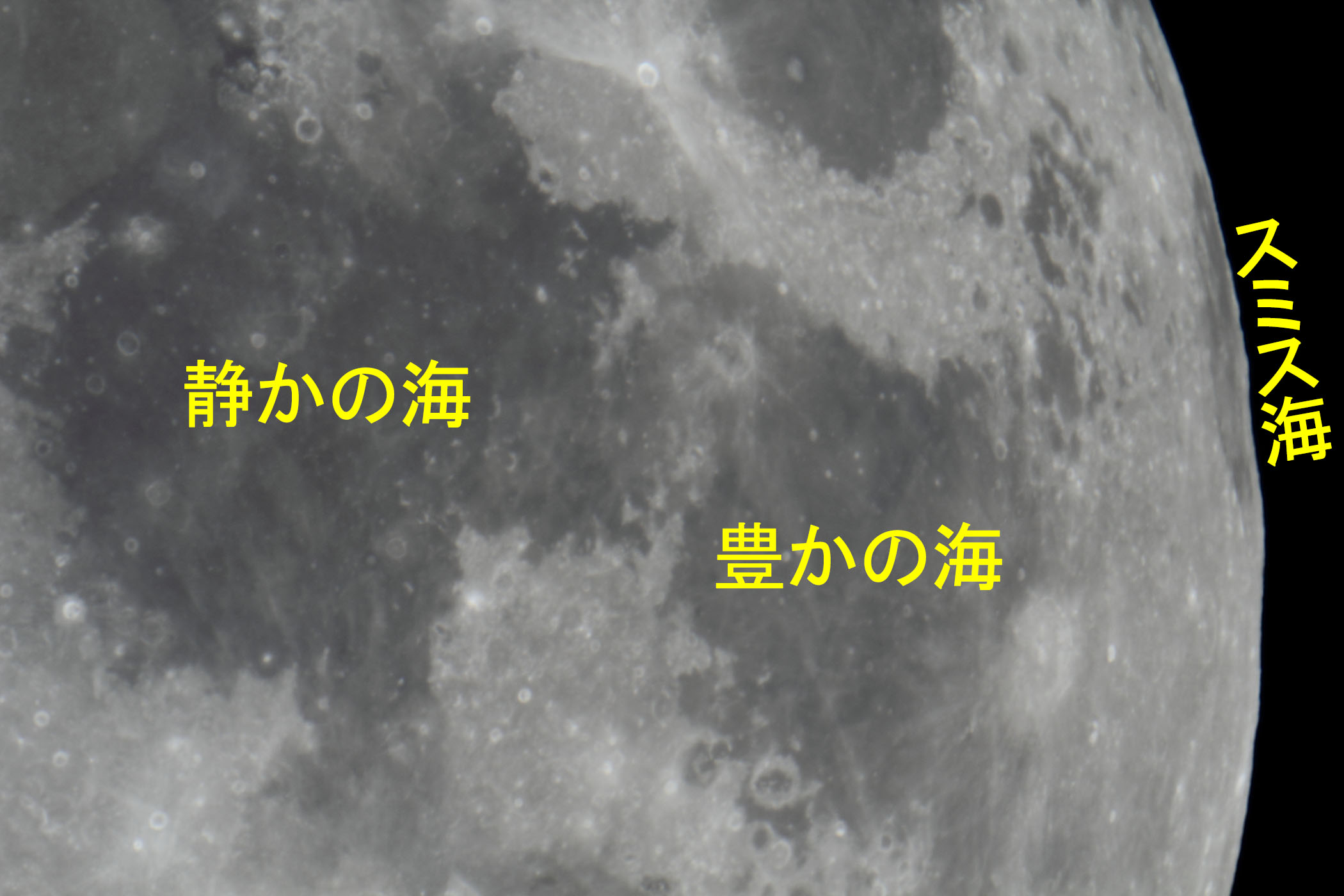 �w���i����12.7�j�Â��̊C�E�L���̊C�t�߁x(2026�N5��29��)