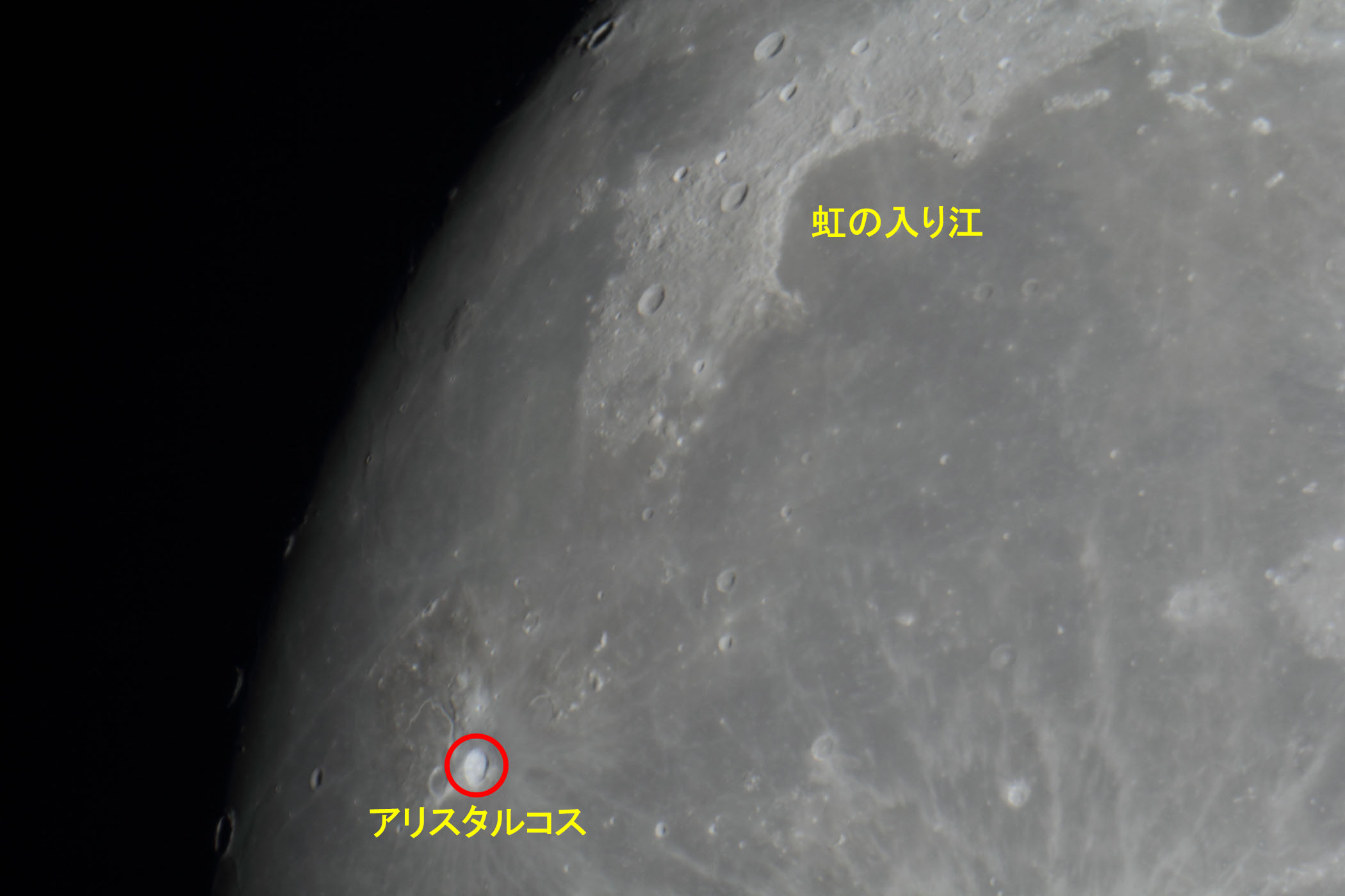 �w���i����12.7�j���̓���]�E�A���X�^���R�X�t�߁x(2026�N5��29��)