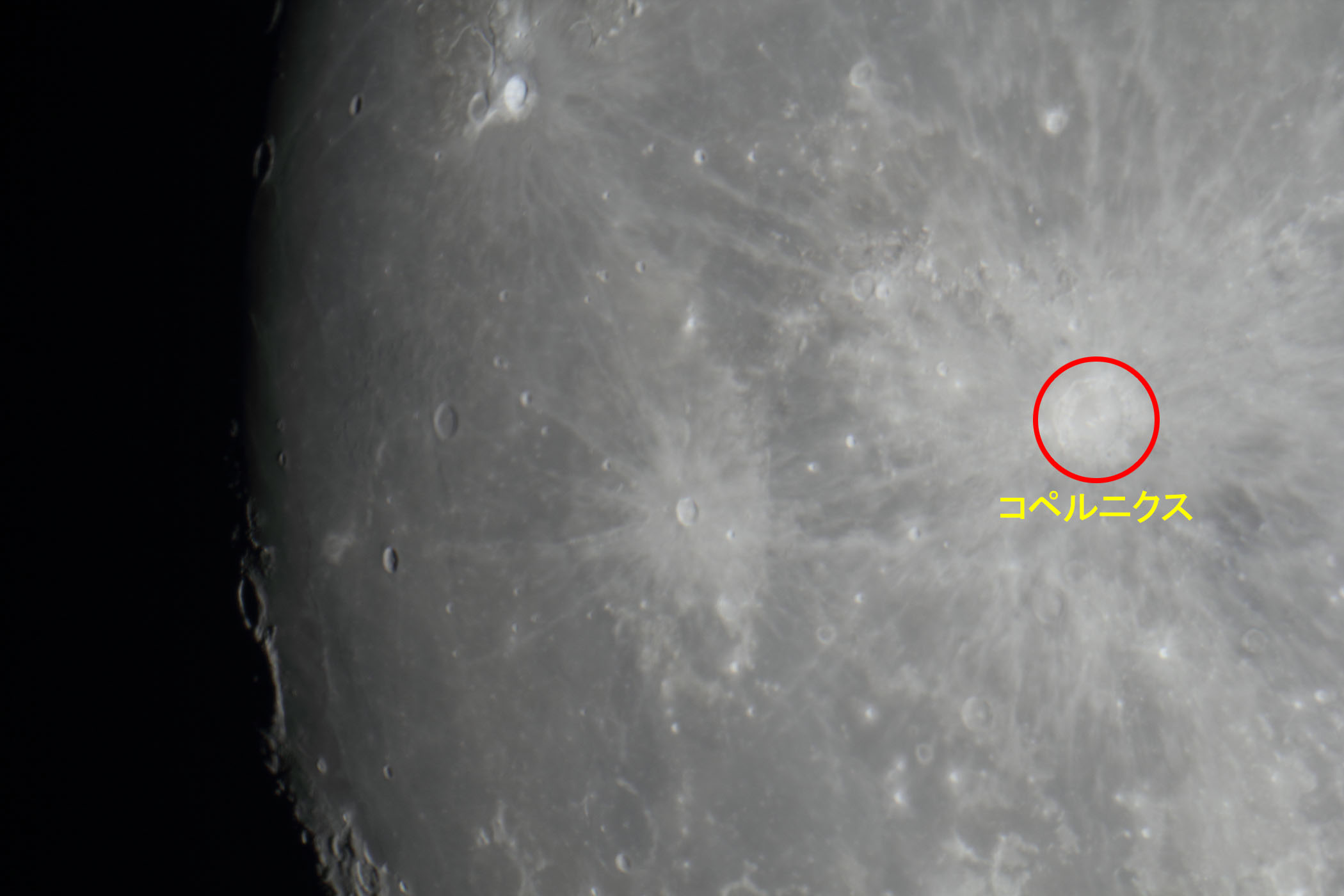 �w���i����12.7�j�R�y���j�N�X�t�߁x(2026�N5��29��)