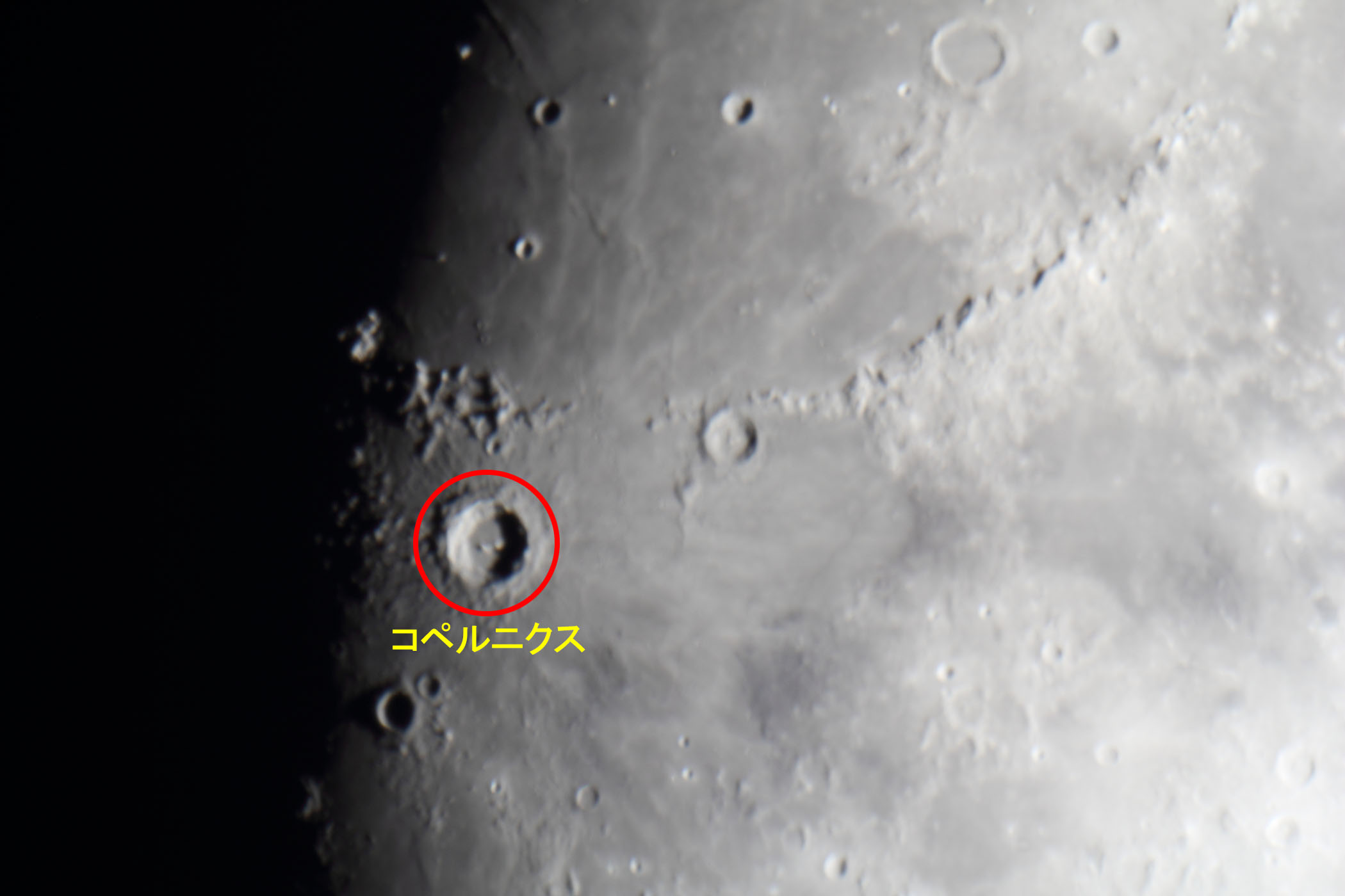 �w���i����9.8�j�R�y���j�N�X�t�߁x(2026�N8��22��)