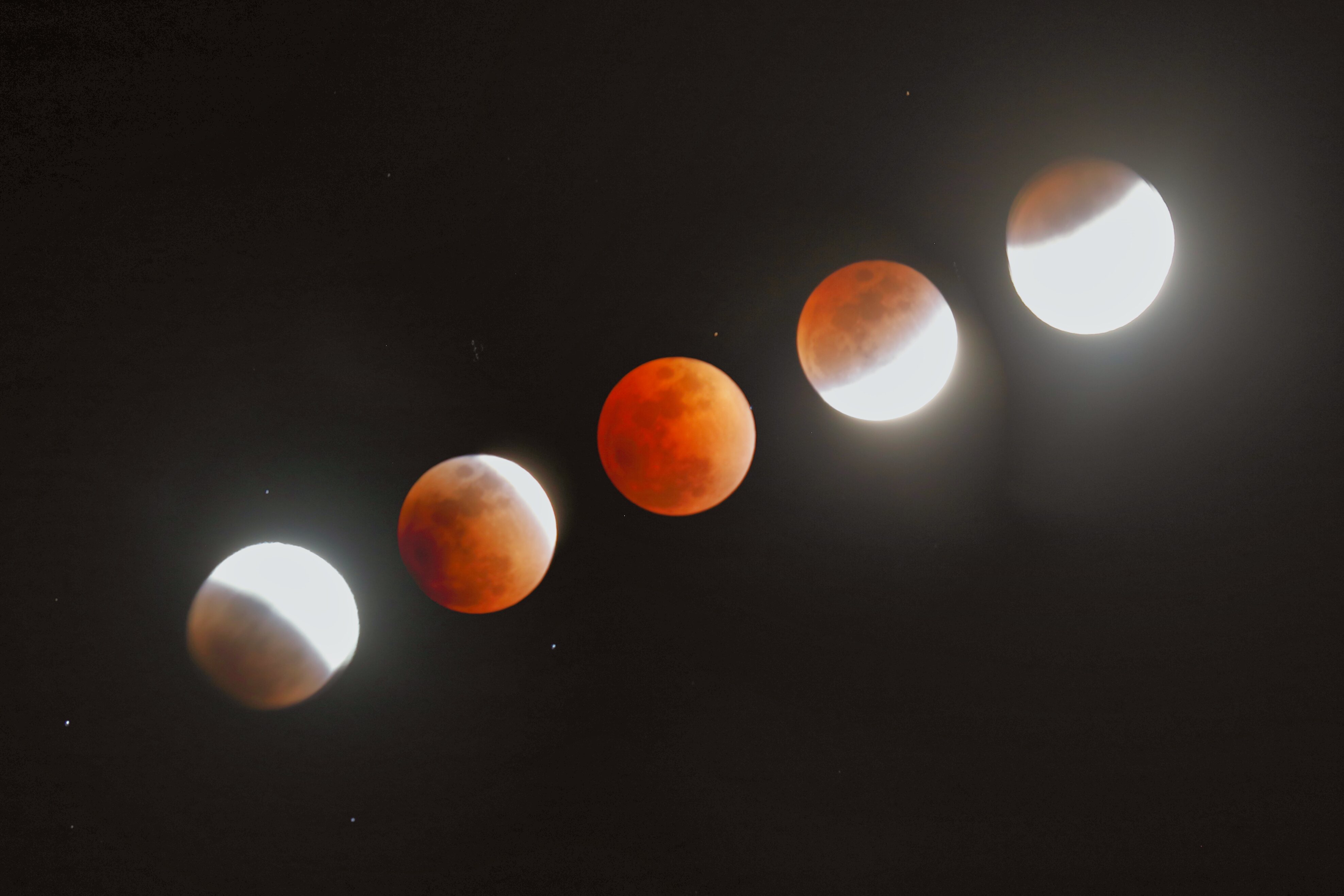 �w�F�����H�x(2026�N3��3��)