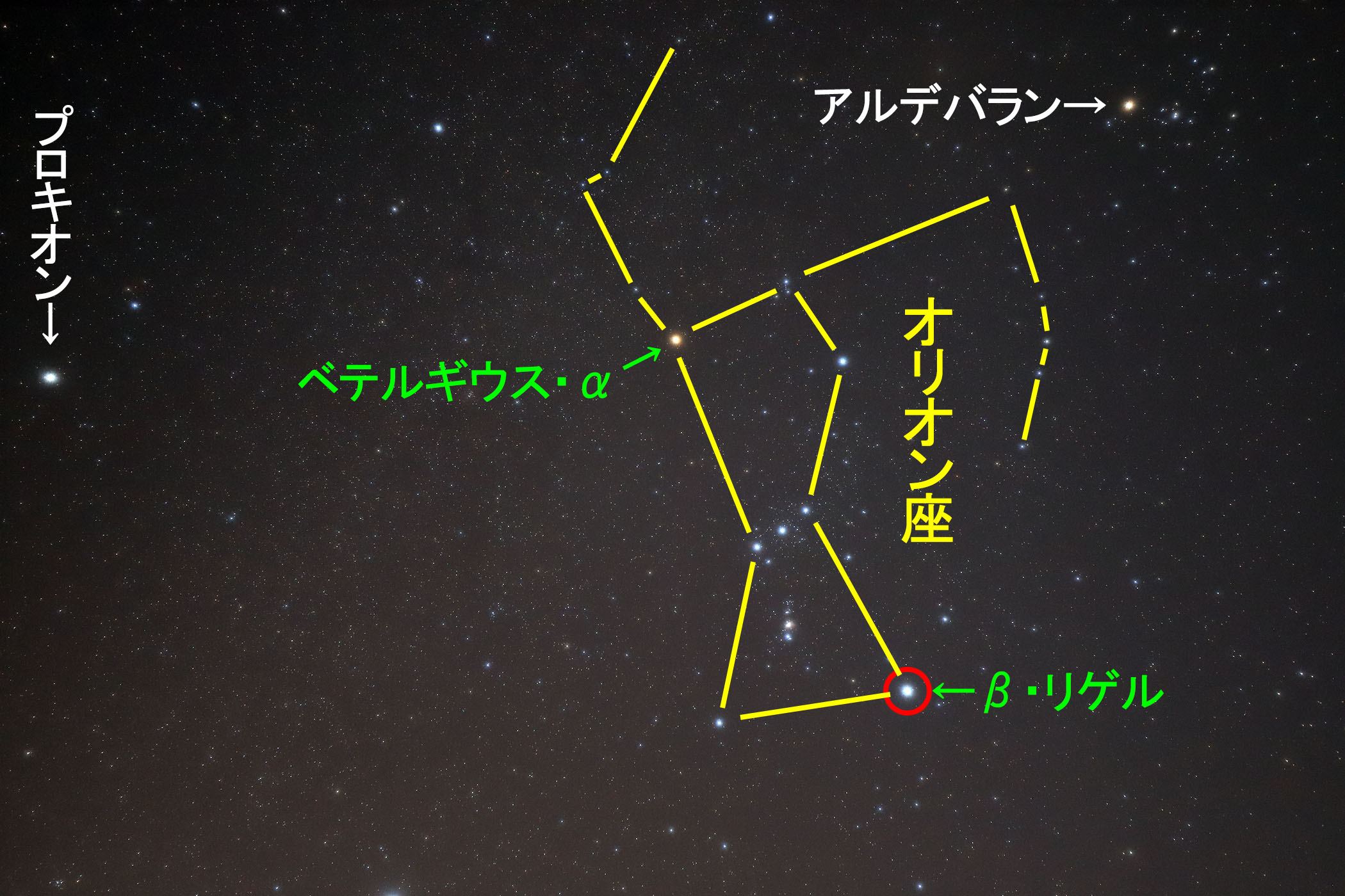 『リゲル』の位置