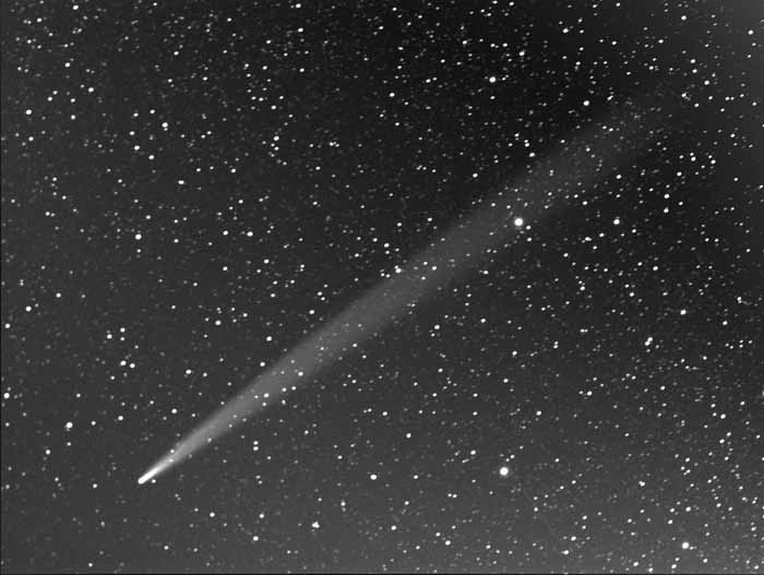 �u���b�h�t�B�[���h�a��