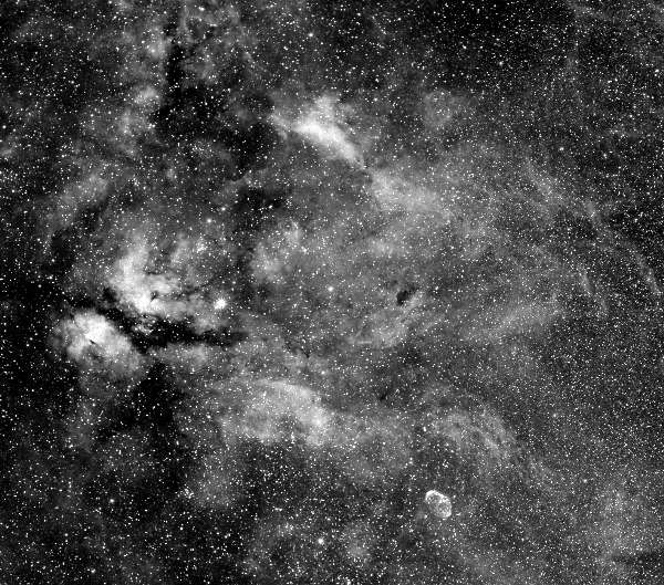 �͂����傤�������t��