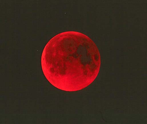 �F�����S�����̌�