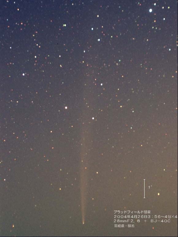 �u���b�h�t�B�[���h�a��