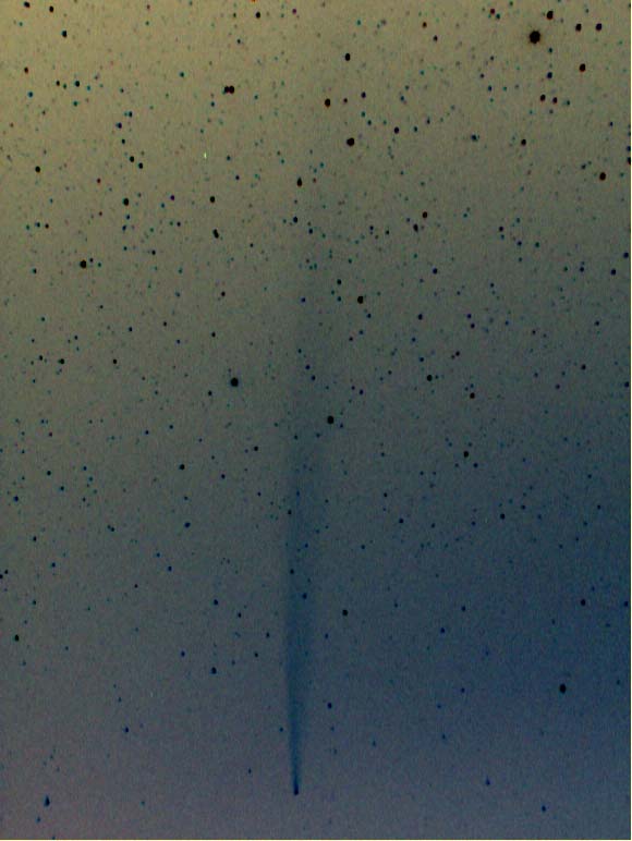 �u���b�h�t�B�[���h�a��