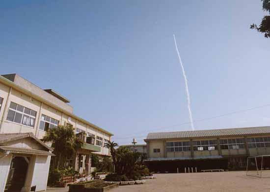 �g�Q�`���P�b�g�ł��グ