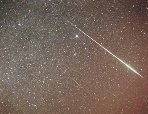 �V���E�X�Ƒ嗬��