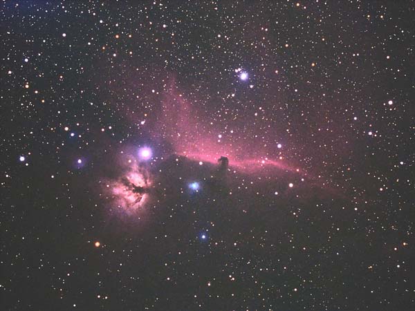 �n�����_