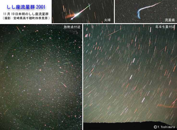 しし座流星群 組写真