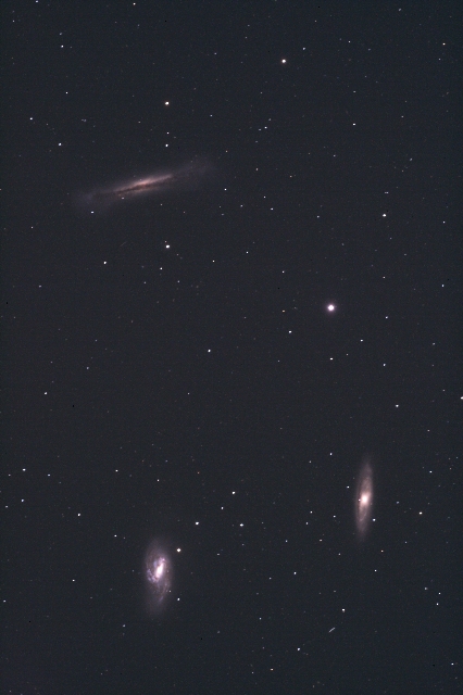 M65,M66,NGC3628