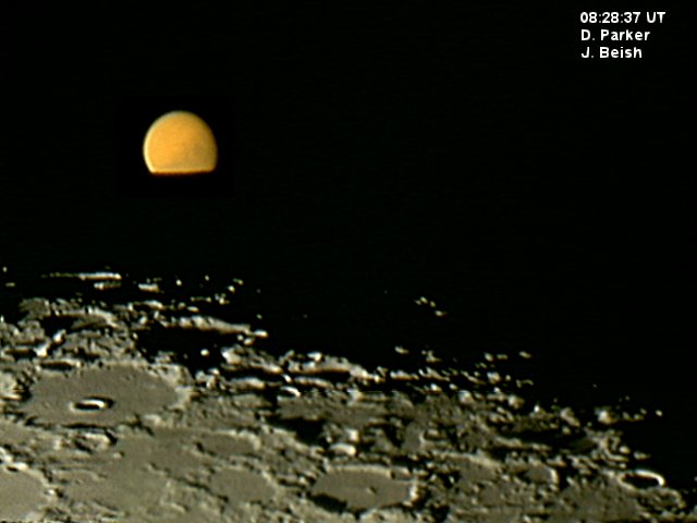 Mars-Grazing 2003 (3)