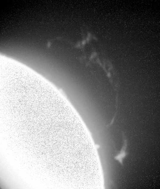 ��v���~�l���X